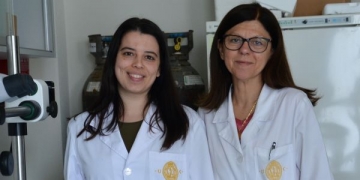 Investigadores desenvolvem pâncreas bioartificial para tratar a diabetes