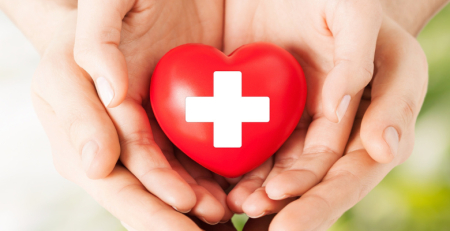 Estudo sugere que consumo de sarcocórnia pode diminuir riscos cardiovasculares